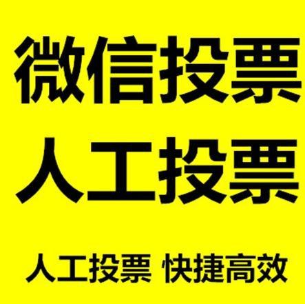 阿拉善盟投票活动拉票能被查出来吗？如何操作能不被发现？